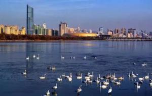 三門峽又一網(wǎng)紅景點(diǎn)，確定不來(lái)pick一下？